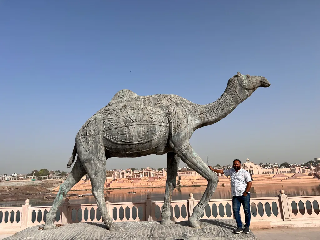 pawan-camel